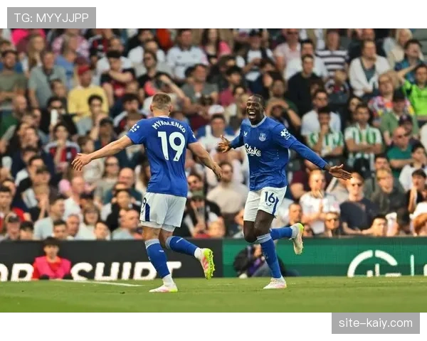 埃弗顿发布伤病报告,主力左后卫米科连科因脚踝扭伤将缺席至少两周